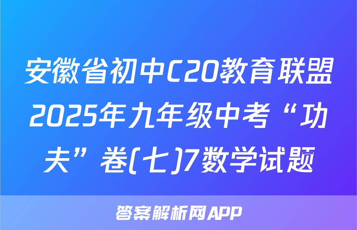 安徽省初中C20教育联盟2025年九年级中考“功夫”卷(七)7数学试题