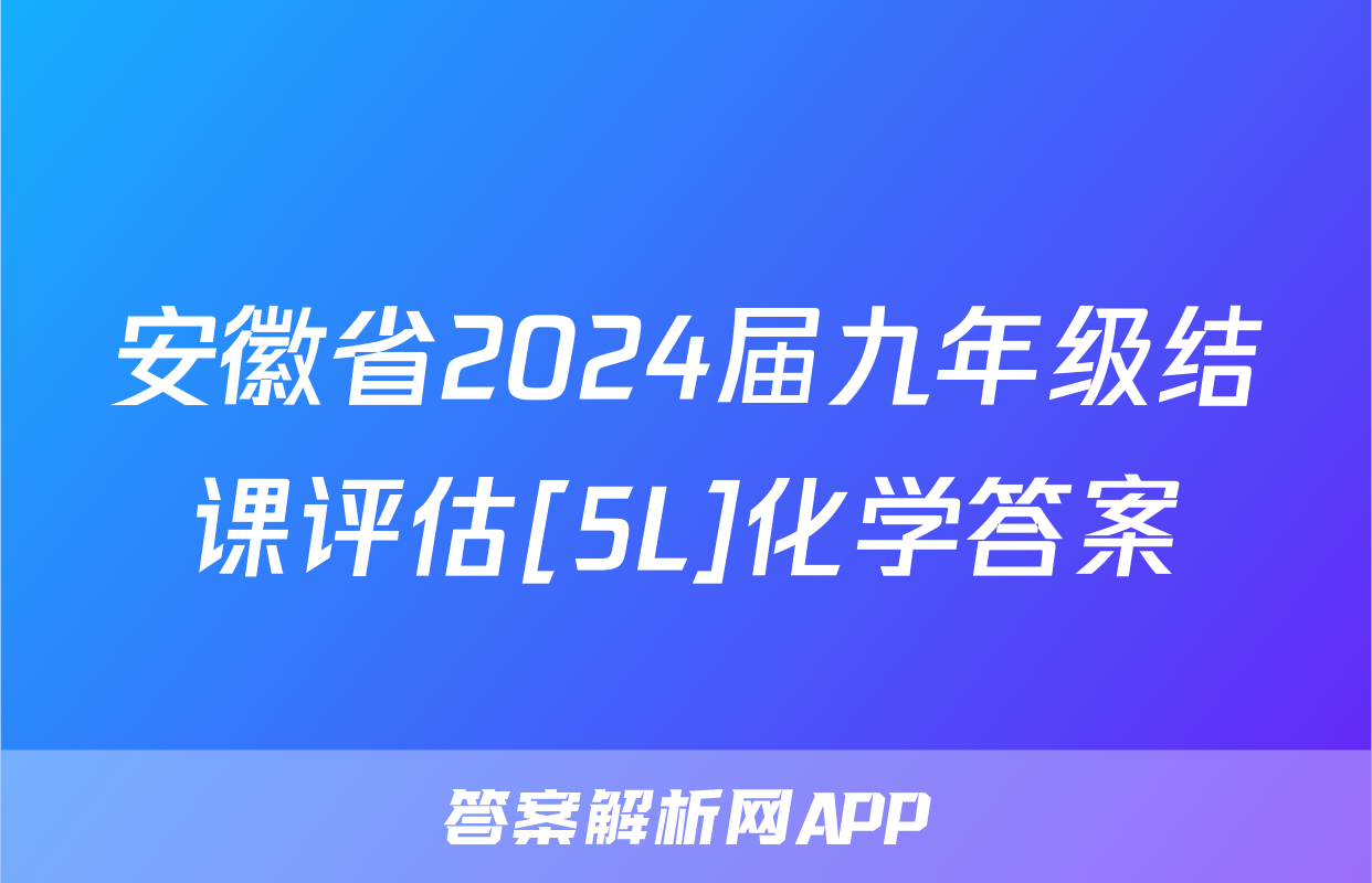 安徽省2024届九年级结课评估[5L]化学答案
