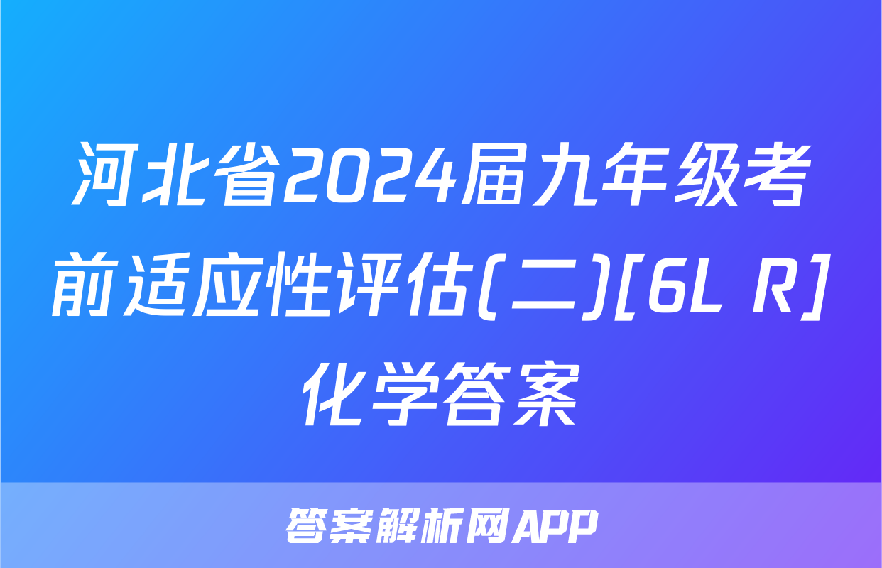 河北省2024届九年级考前适应性评估(二)[6L R]化学答案